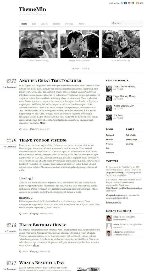 thememin premium wordpress theme - ThemeMin Premium WordPress Theme