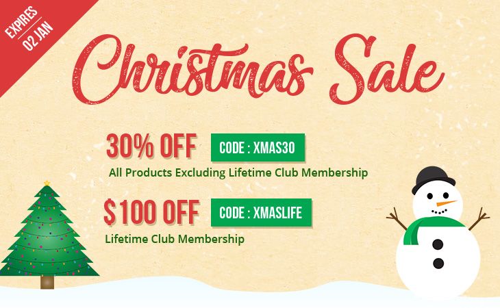 Themify Christmas & New Year 2018 Sale
